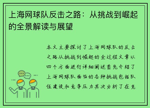 上海网球队反击之路：从挑战到崛起的全景解读与展望